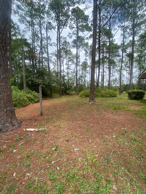 296 Conine Road Lakeland, GA 31635 - Photo 41 of 44 Gallery Image 41