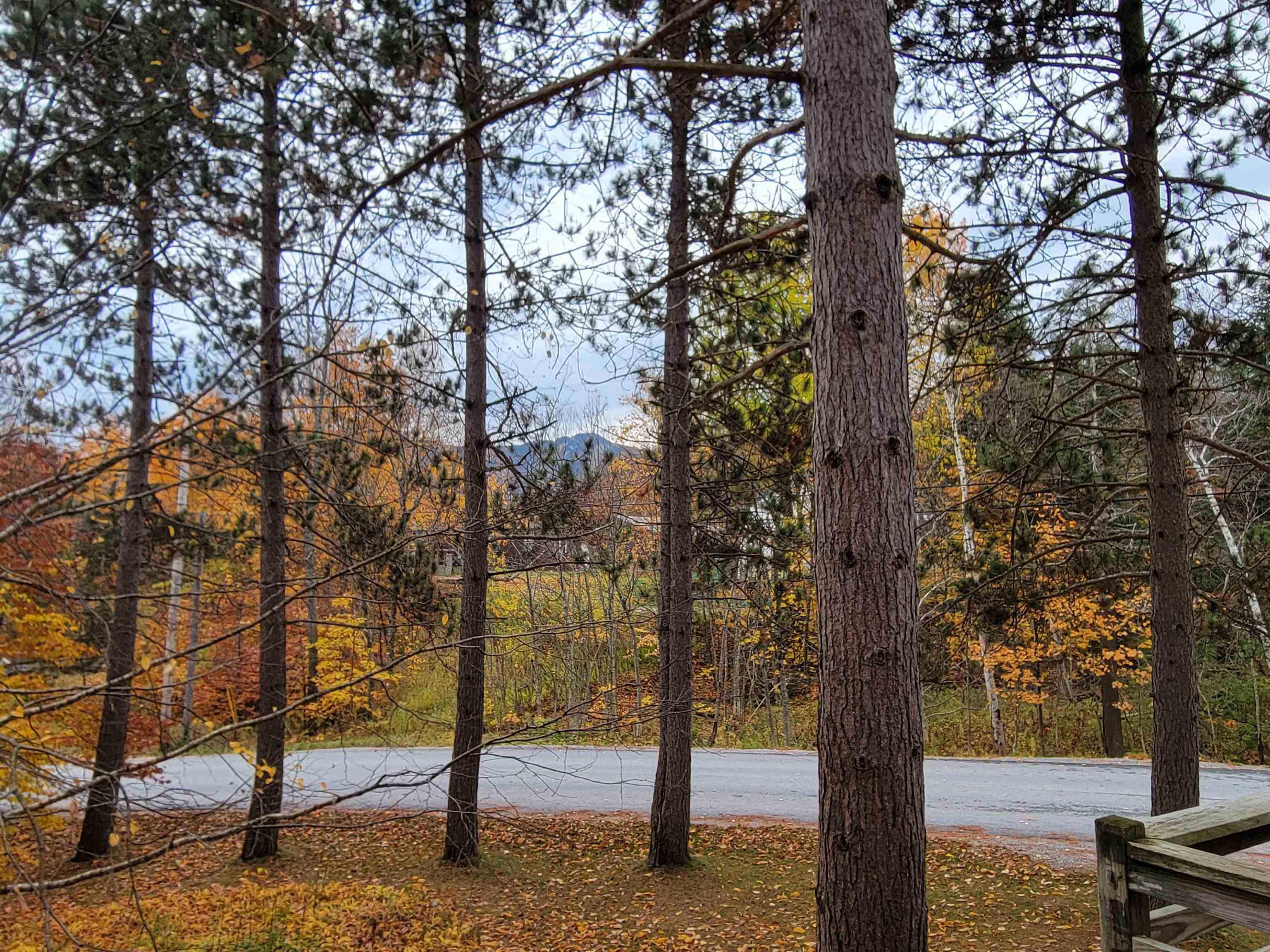 160 West Park Road Killington, VT 05751 - Photo 24 of 40 Gallery Image 24