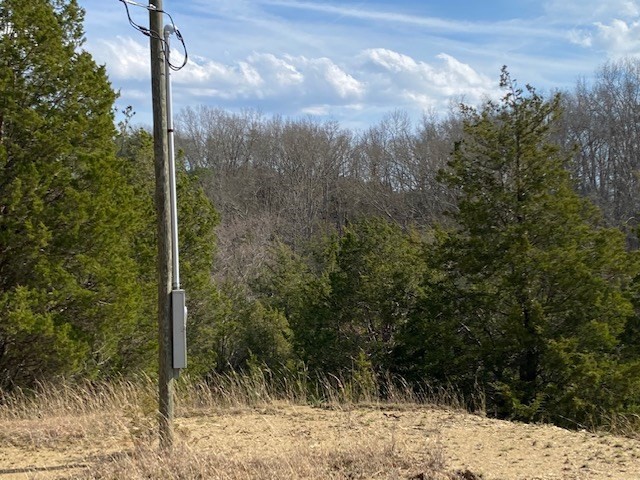 3051 Buck Horn Road Sevierville, TN 37876 - Photo 6 of 11 Gallery Image 6
