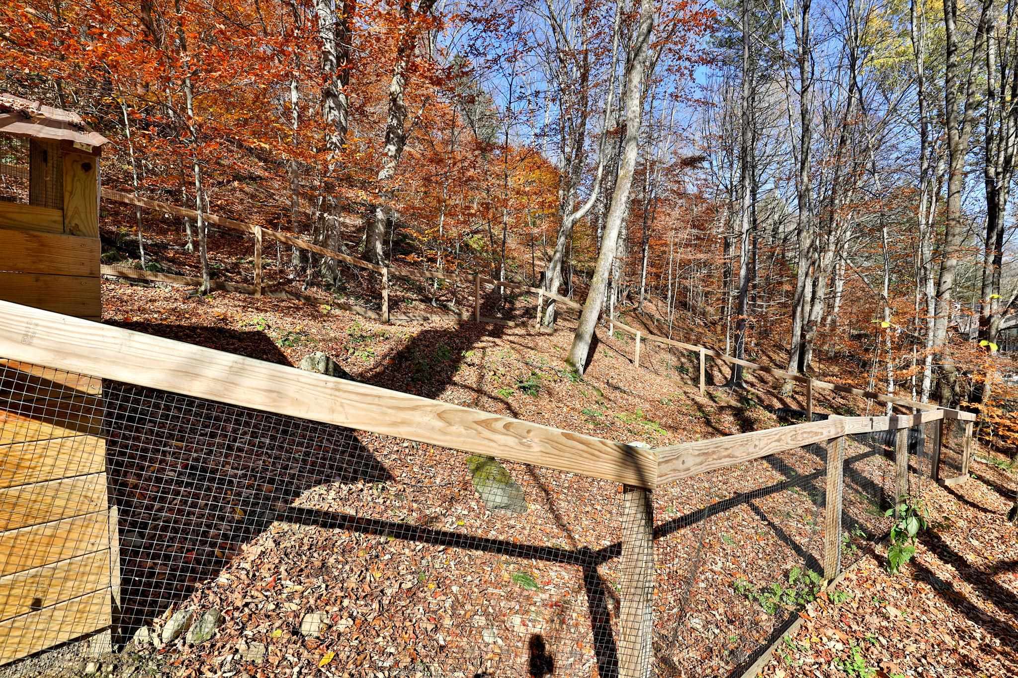 430 Hawk Mountain Road Pittsfield, VT 05762 - Photo 39 of 48