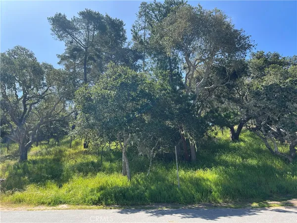 $35,000 | 2480 Ross Road, Cambria, CA 93428