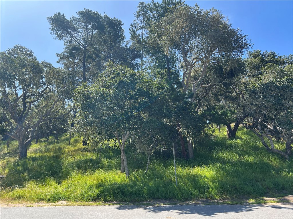 4 Lots, 100'x100'av, #462 CCSD