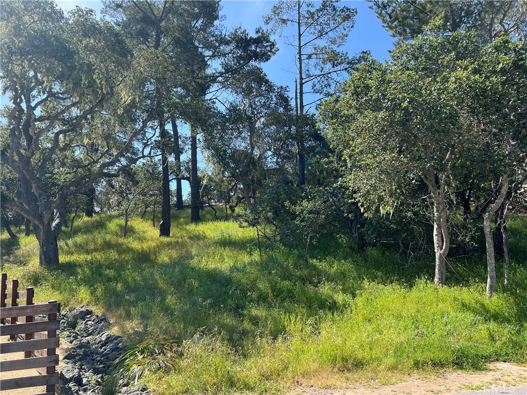2480 Ross Road Cambria, CA 93428 - Photo 11 of 12