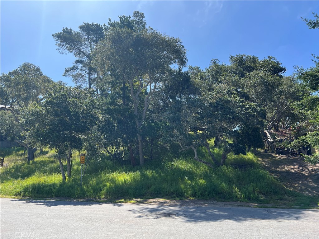 2480 Ross Road Cambria, CA 93428 - Photo 12 of 12