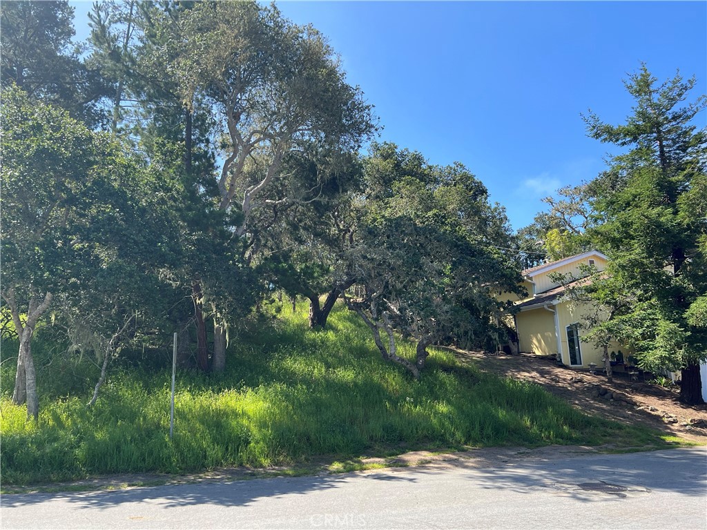 2480 Ross Road Cambria, CA 93428 - Photo 3 of 12