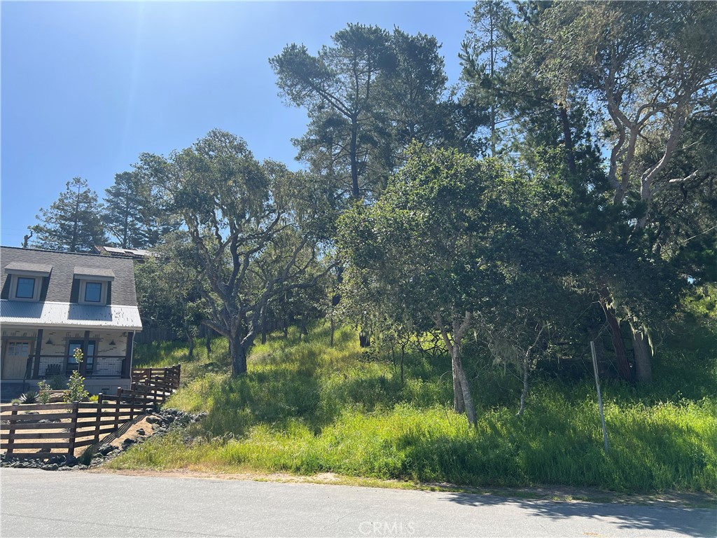 2480 Ross Road Cambria, CA 93428 - Photo 4 of 12
