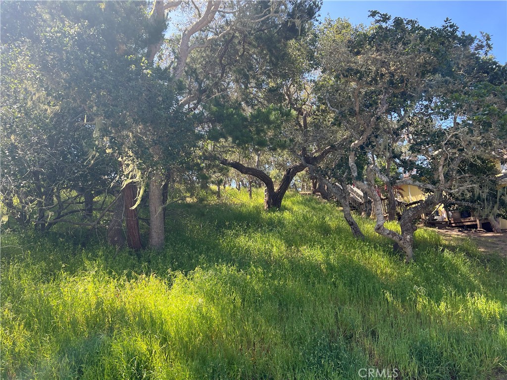 2480 Ross Road Cambria, CA 93428 - Photo 9 of 12