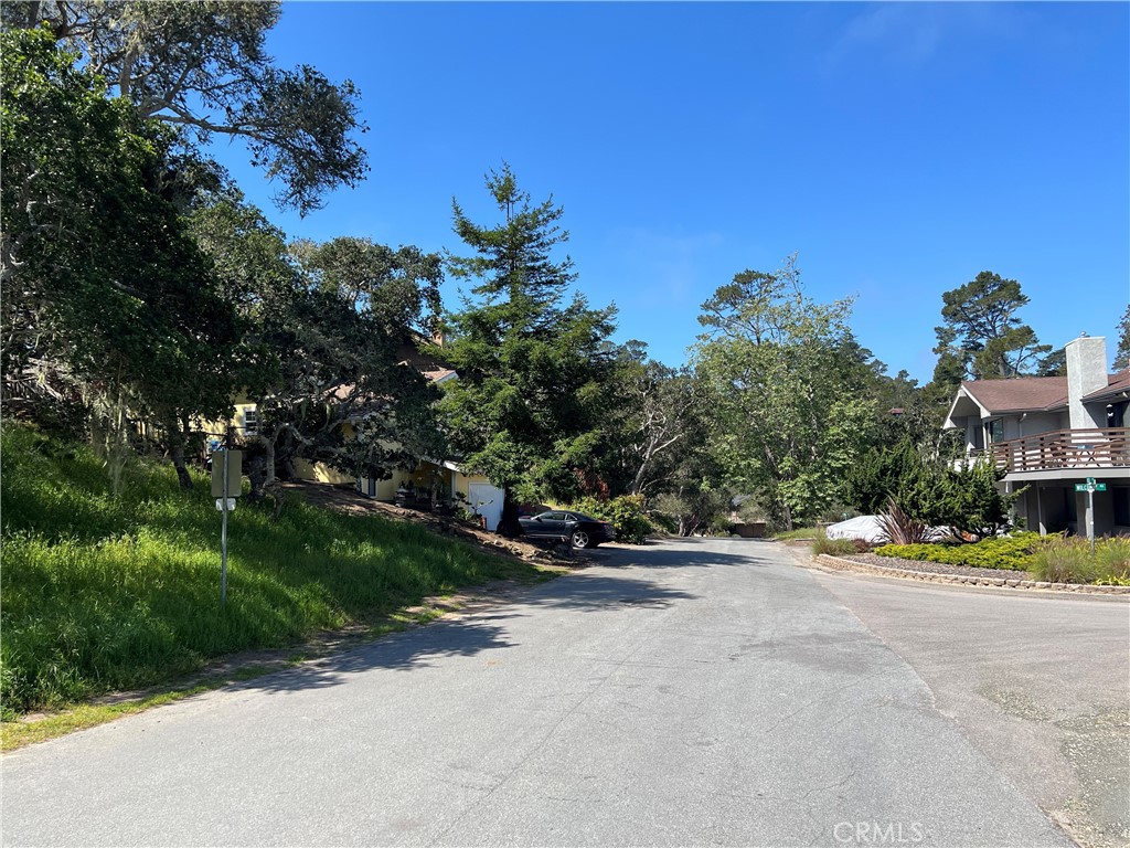 2480 Ross Road Cambria, CA 93428 - Photo 10 of 12 Looking down Ross Rd