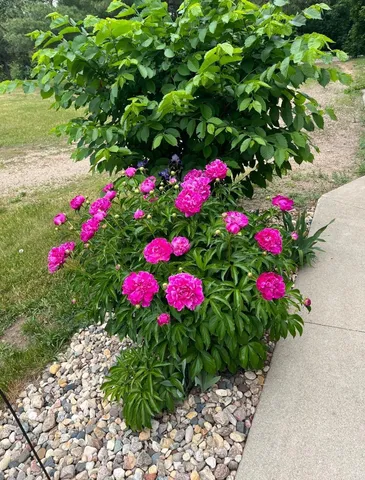 $484,000 | 27388 County Road 34, Paynesville, MN 56362