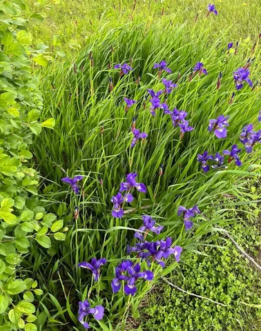 $484,000 | 27388 County Road 34, Paynesville, MN 56362