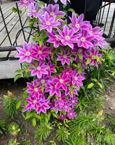 $484,000 | 27388 County Road 34, Paynesville, MN 56362