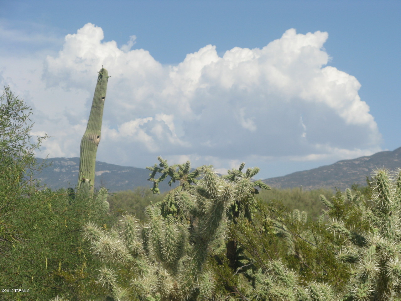 2900 North Wentworth Road, Unit APPROX Tucson, AZ 85749 - Photo 1 of 5 Gallery Image 1