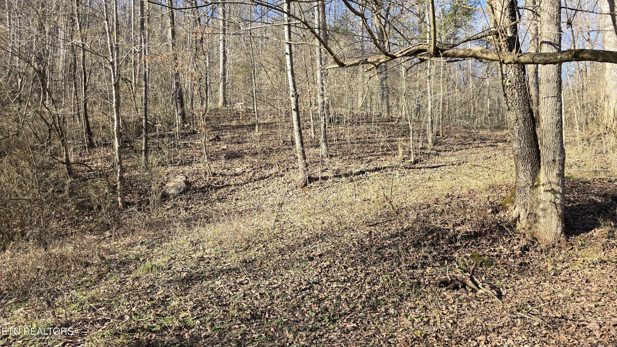 0 Red Ankle Road Sweetwater, TN 37874 - Photo 22 of 32 Gallery Image 22