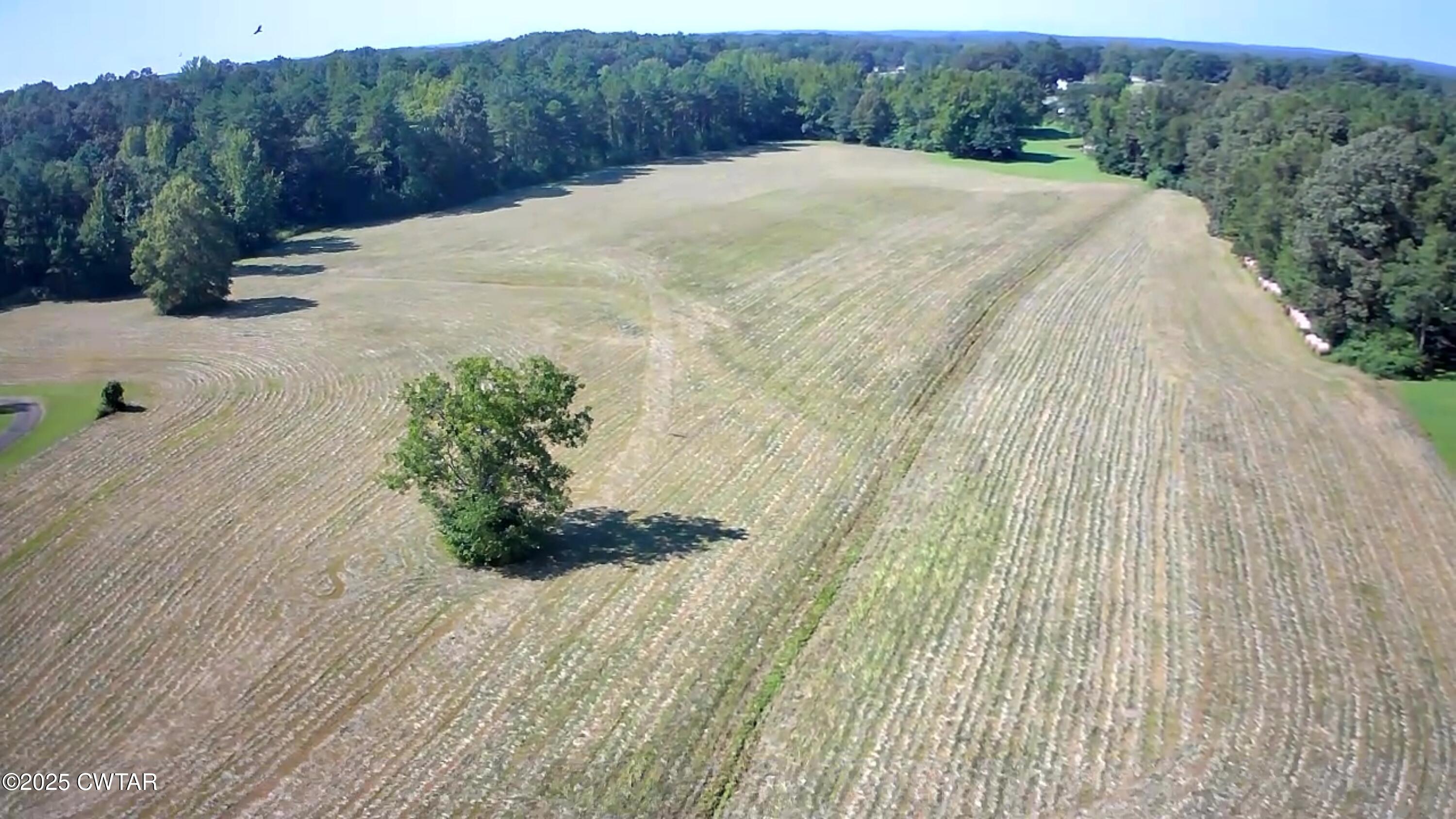 0 Morgan Street Henderson, TN 38340 - Photo 2 of 7 a view of a backyard of the house