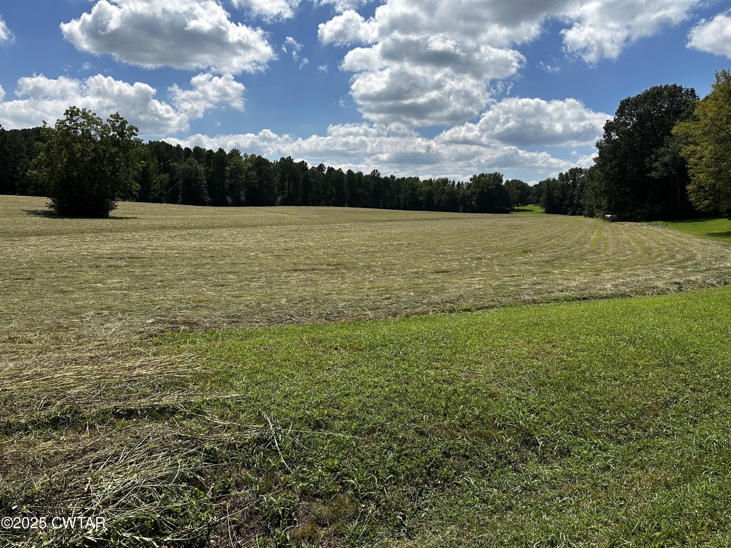 0 Morgan Street Henderson, TN 38340 - Photo 4 of 7 a view of outdoor space with stove