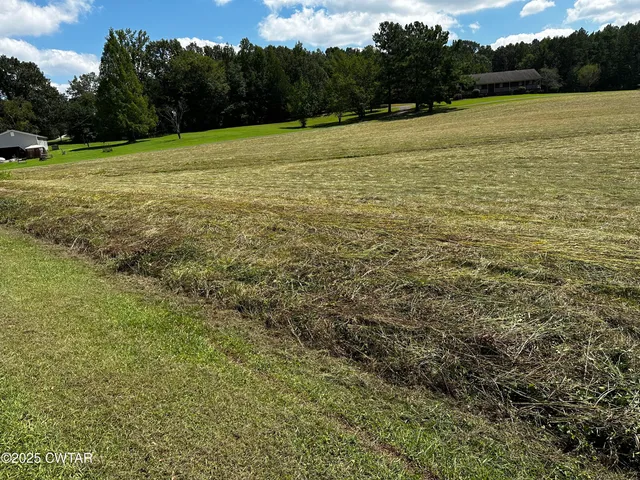 a view of a field with an ocean
