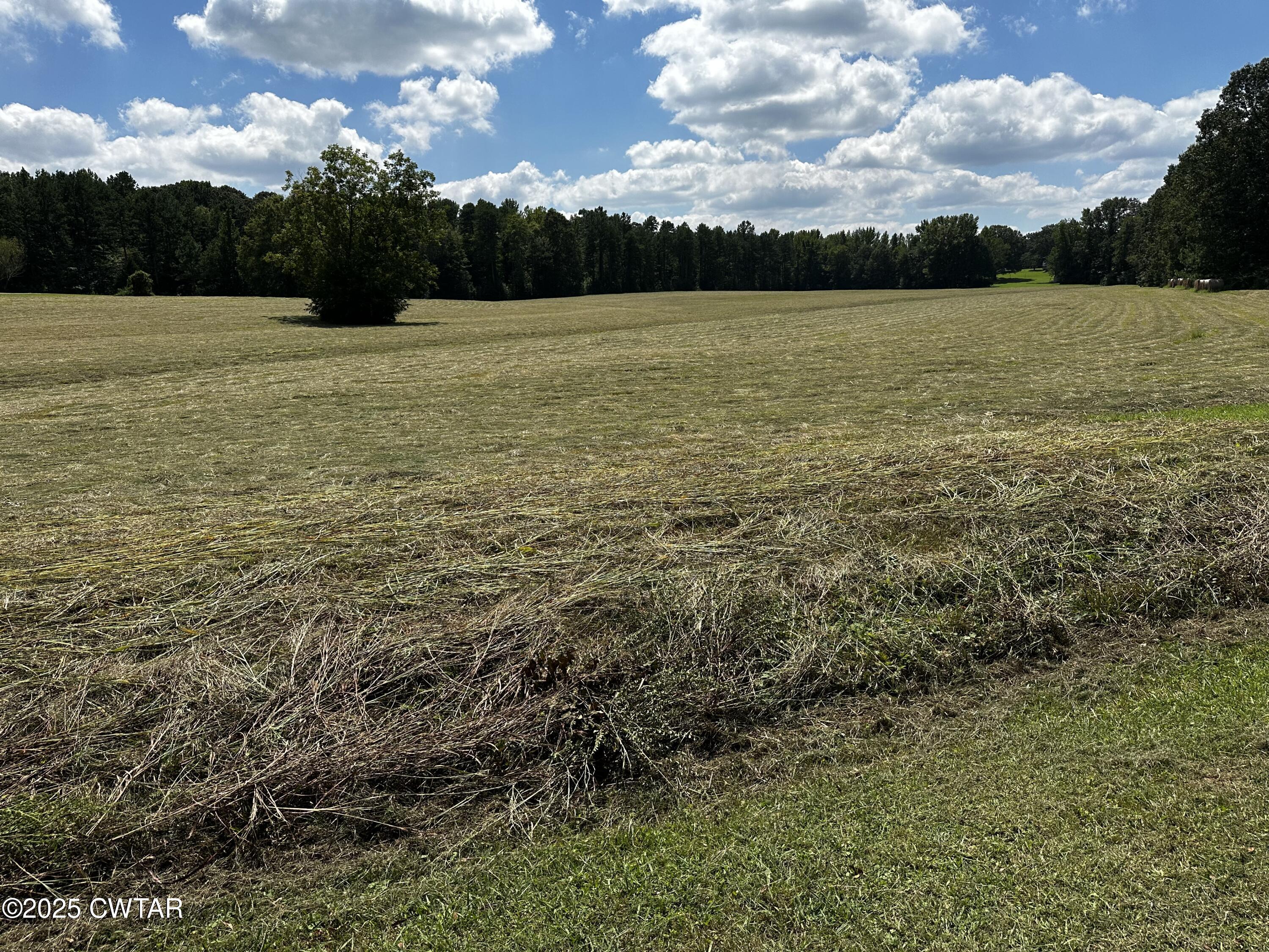 0 Morgan Street Henderson, TN 38340 - Photo 6 of 7 a view of an ocean