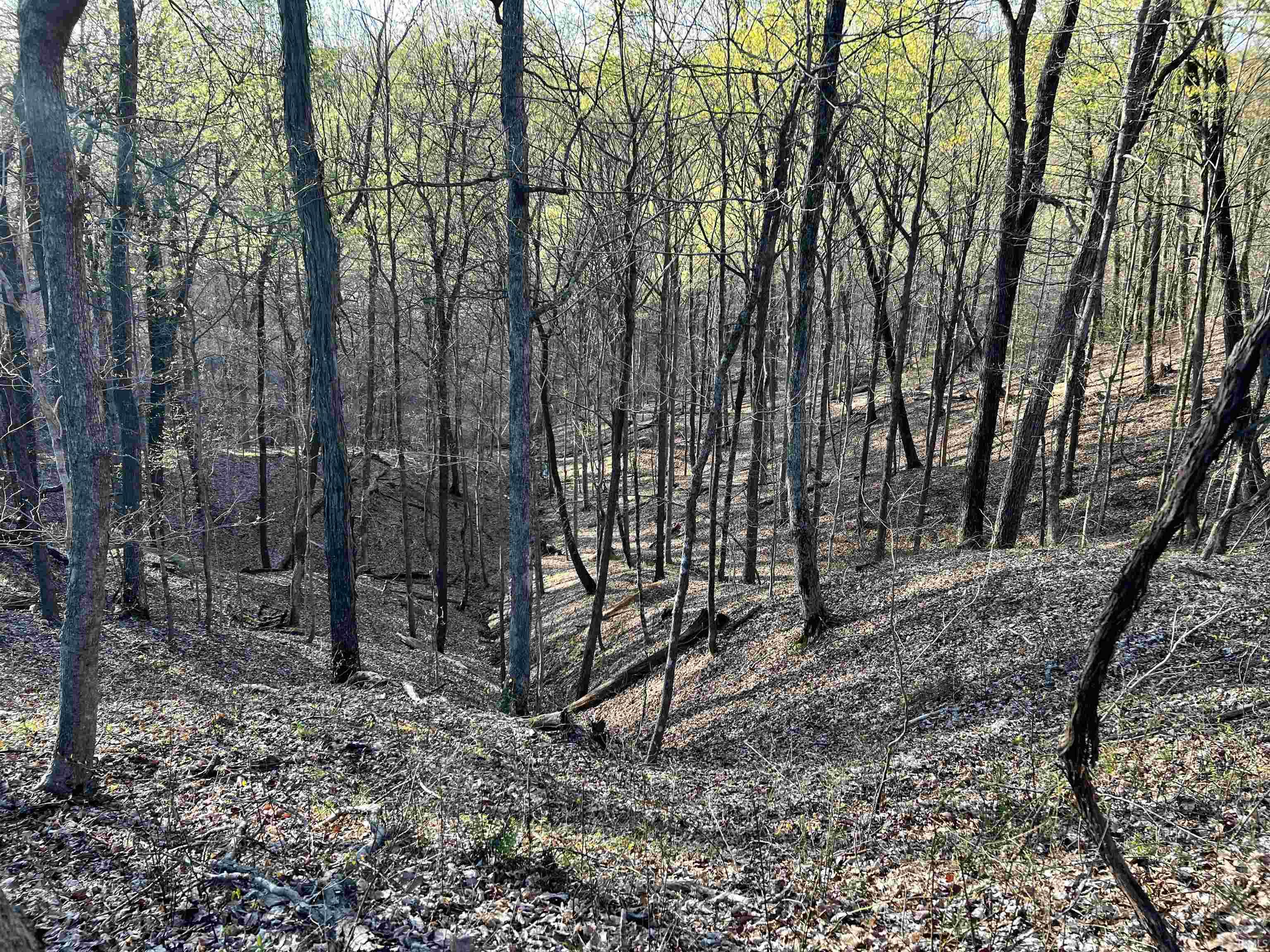 3 North Leval Ratt Road Scottsburg, IN 47170 - Photo 5 of 9