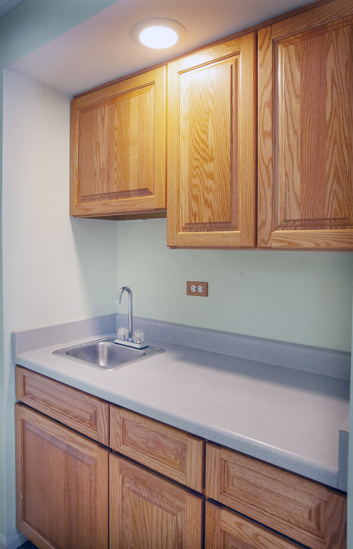 2705 Colonial Drive Elgin, IL 60124 - Photo 20 of 39