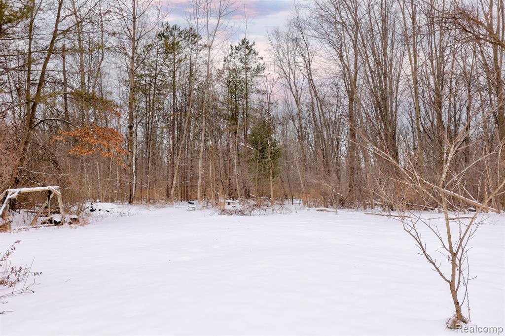 3937 East Curtis Road Birch Run, MI 48415 - Photo 32 of 33 Gallery Image 32