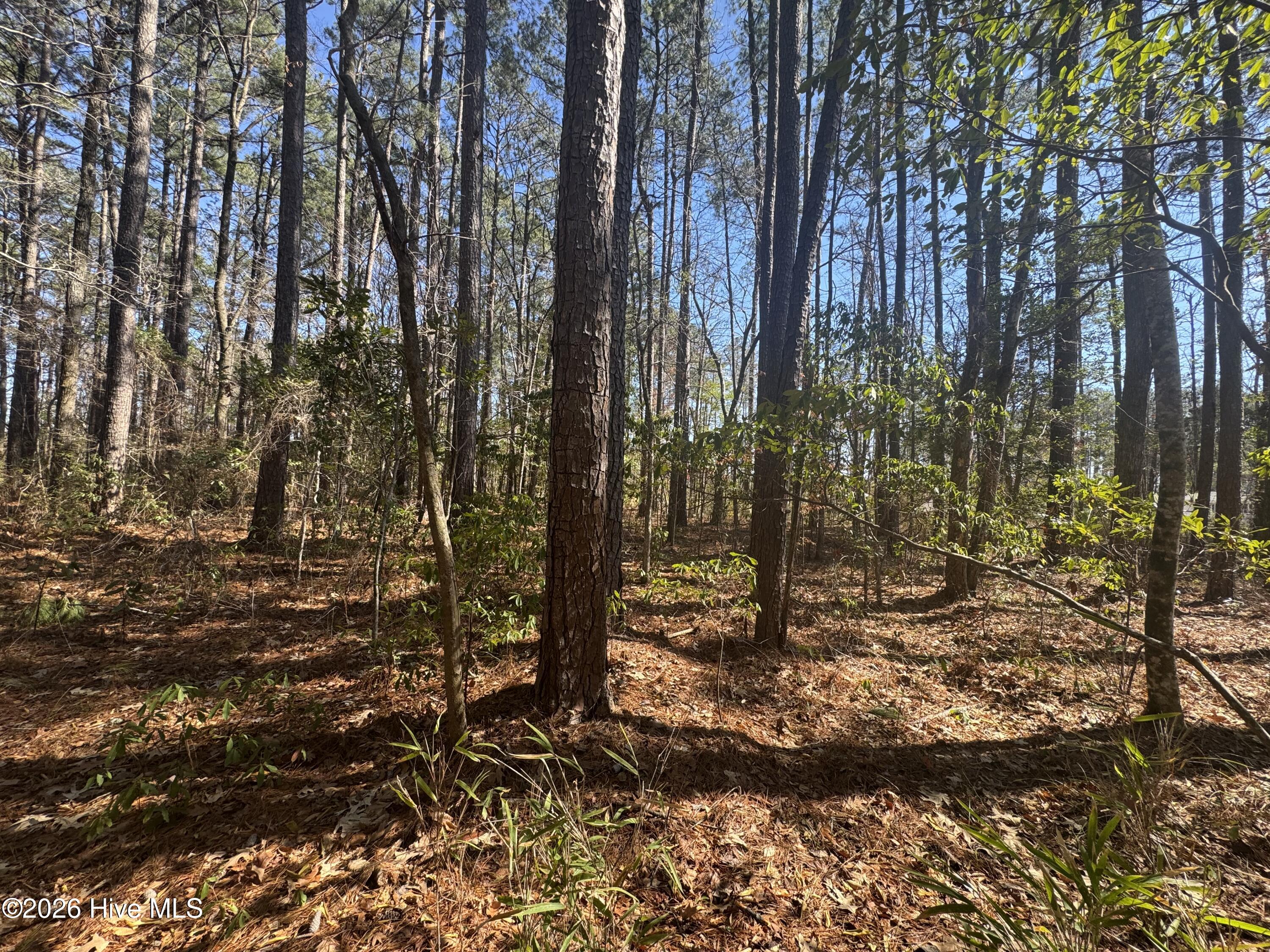 4836 Merrimon Road Beaufort, NC 28516 - Photo 3 of 11 IMG_3293.JPG