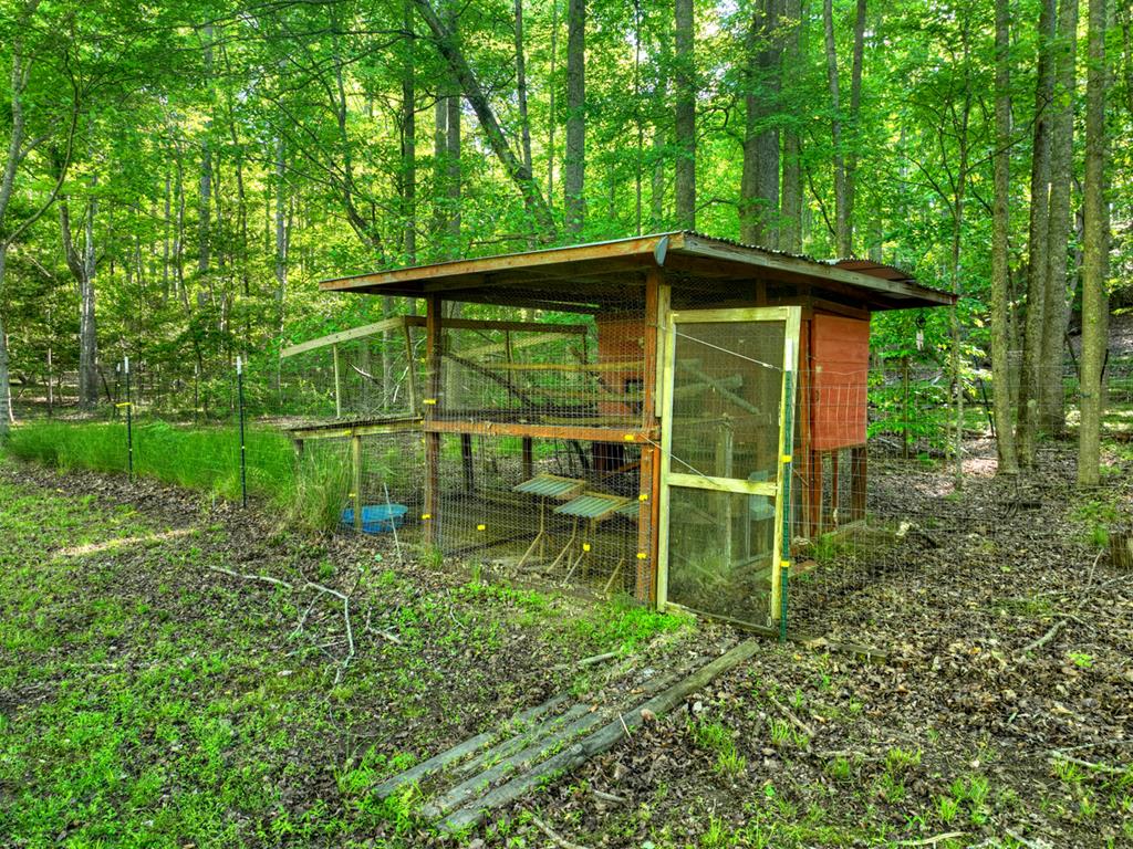 11 Mattie Mitchell Road Morganton, GA 30560 - Photo 49 of 64
