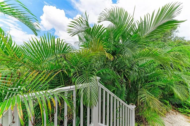 a view of a plant in a garden