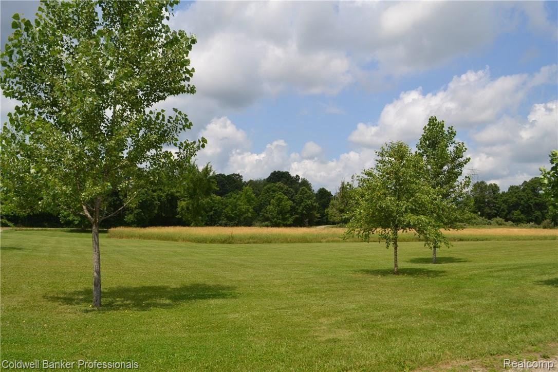 2453 Morris Road Lapeer, MI 48446 - Photo 29 of 32 DSC_0399.JPG