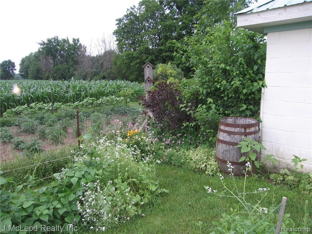 10104 Currier Road Millington, MI 48746 - Photo 28 of 33 2013 down on the farm 019.JPG