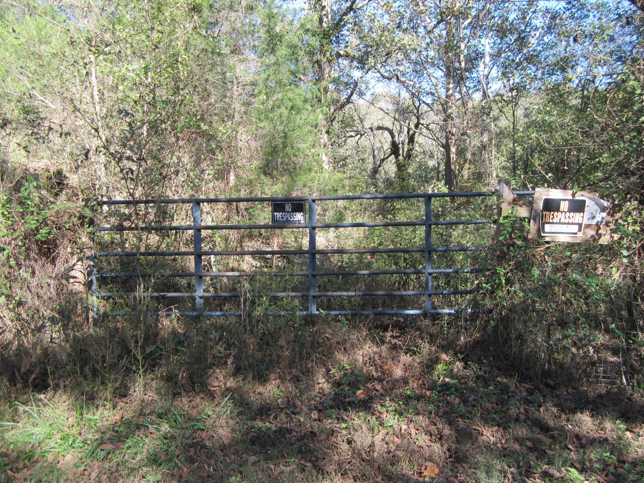 0 Martin Creek Road Bloomington Springs, TN 38545 - Photo 3 of 4