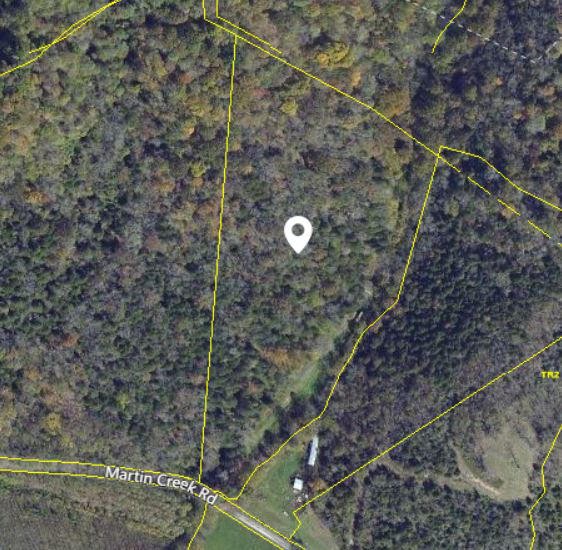 0 Martin Creek Road Bloomington Springs, TN 38545 - Photo 4 of 4