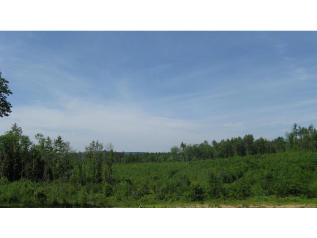 Hannah Nutter Road, Unit 78 Center Barnstead, NH 03225 - Photo 1 of 8