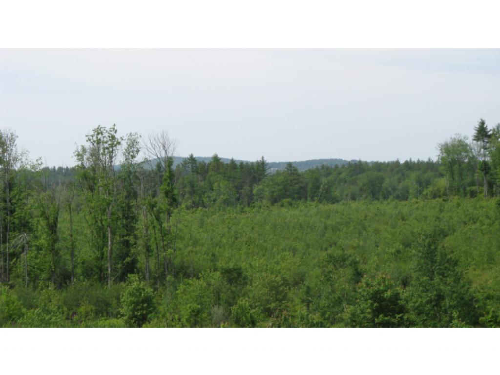 Hannah Nutter Road, Unit 78 Center Barnstead, NH 03225 - Photo 2 of 8