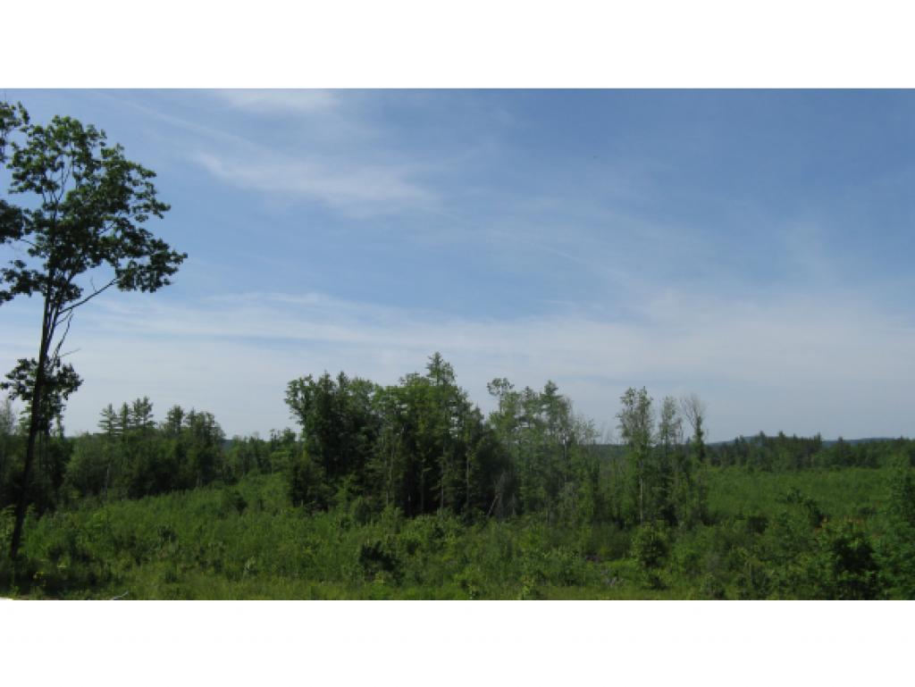 Hannah Nutter Road, Unit 78 Center Barnstead, NH 03225 - Photo 6 of 8
