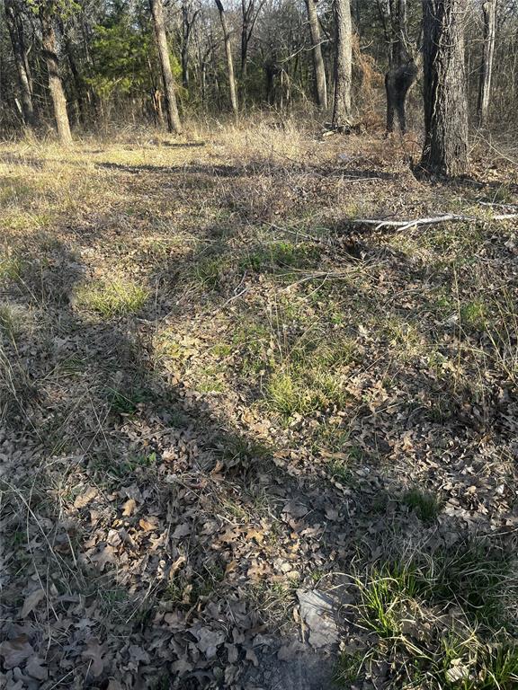 115 Inca Trail Mabank, TX 75156 - Photo 3 of 3