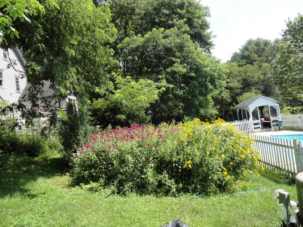 36 Winona Road Ashland, NH 03217 - Photo 24 of 29