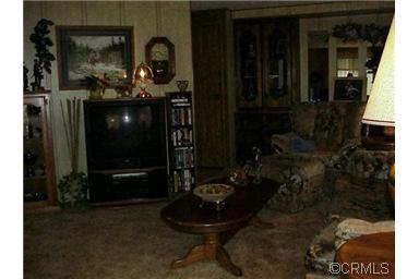 150 Clinton Road, Unit 26 Jackson, CA 95642 - Photo 2 of 5 a room with fireplace and potted plant