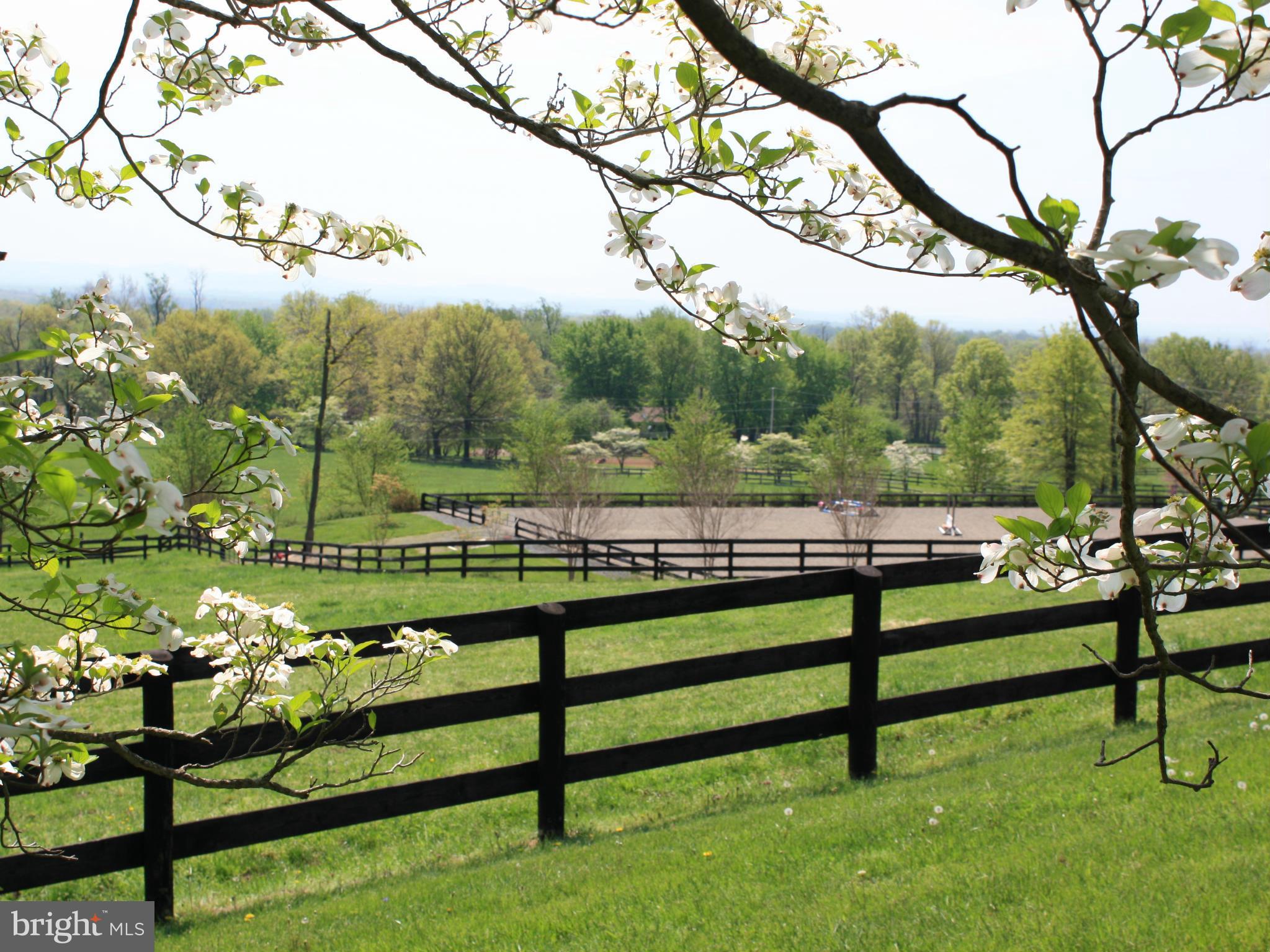19971 Ridgeside Road Bluemont, VA 20135 - Photo 22 of 30 3 board black fencing w/riding ring in distance