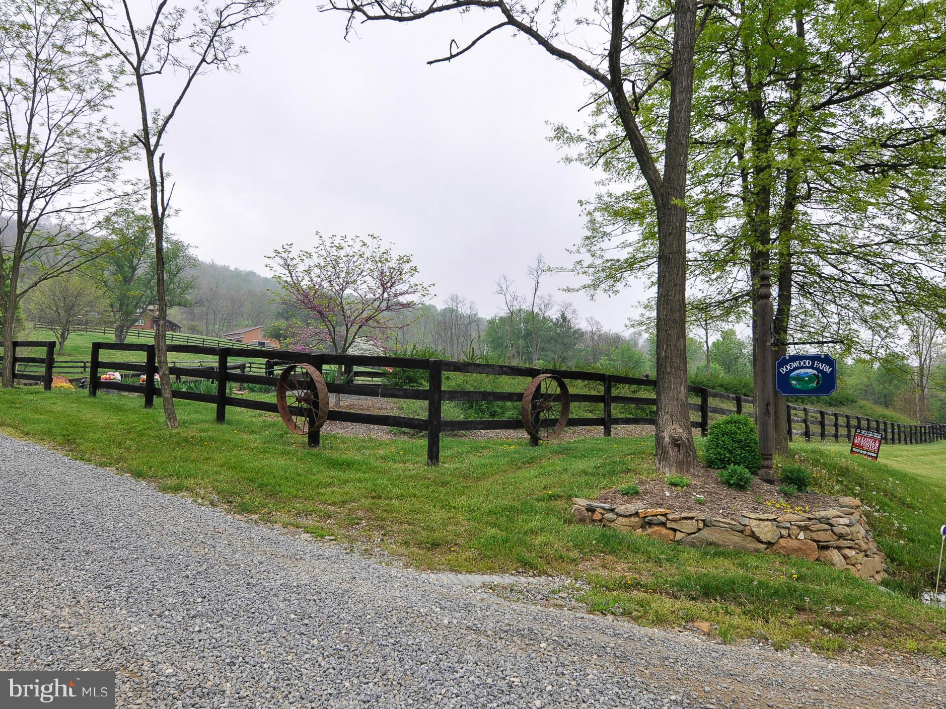 19971 Ridgeside Road Bluemont, VA 20135 - Photo 30 of 30 Welcome to Dogwood Farm!