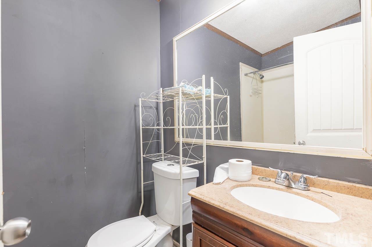 1339 Wiley Road Spring Hope, NC 27882 - Photo 16 of 22 a bathroom with a sink toilet and mirror
