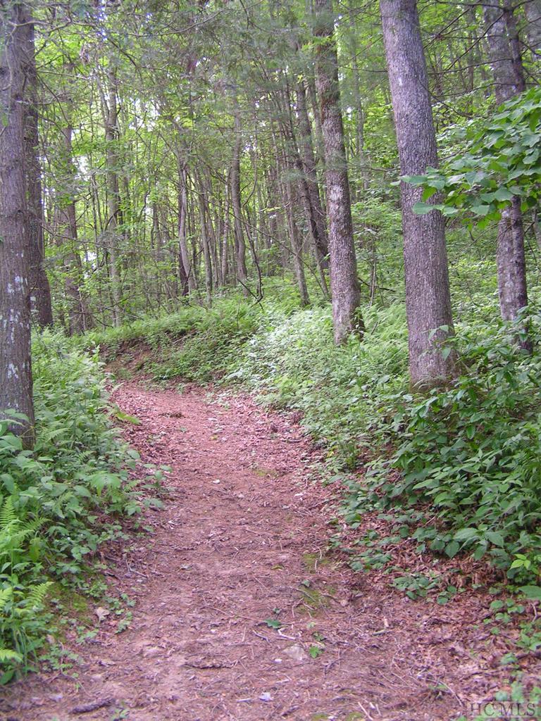 990 Found Forest Road Cashiers, NC 28717 - Photo 4 of 6 Gallery Image 4