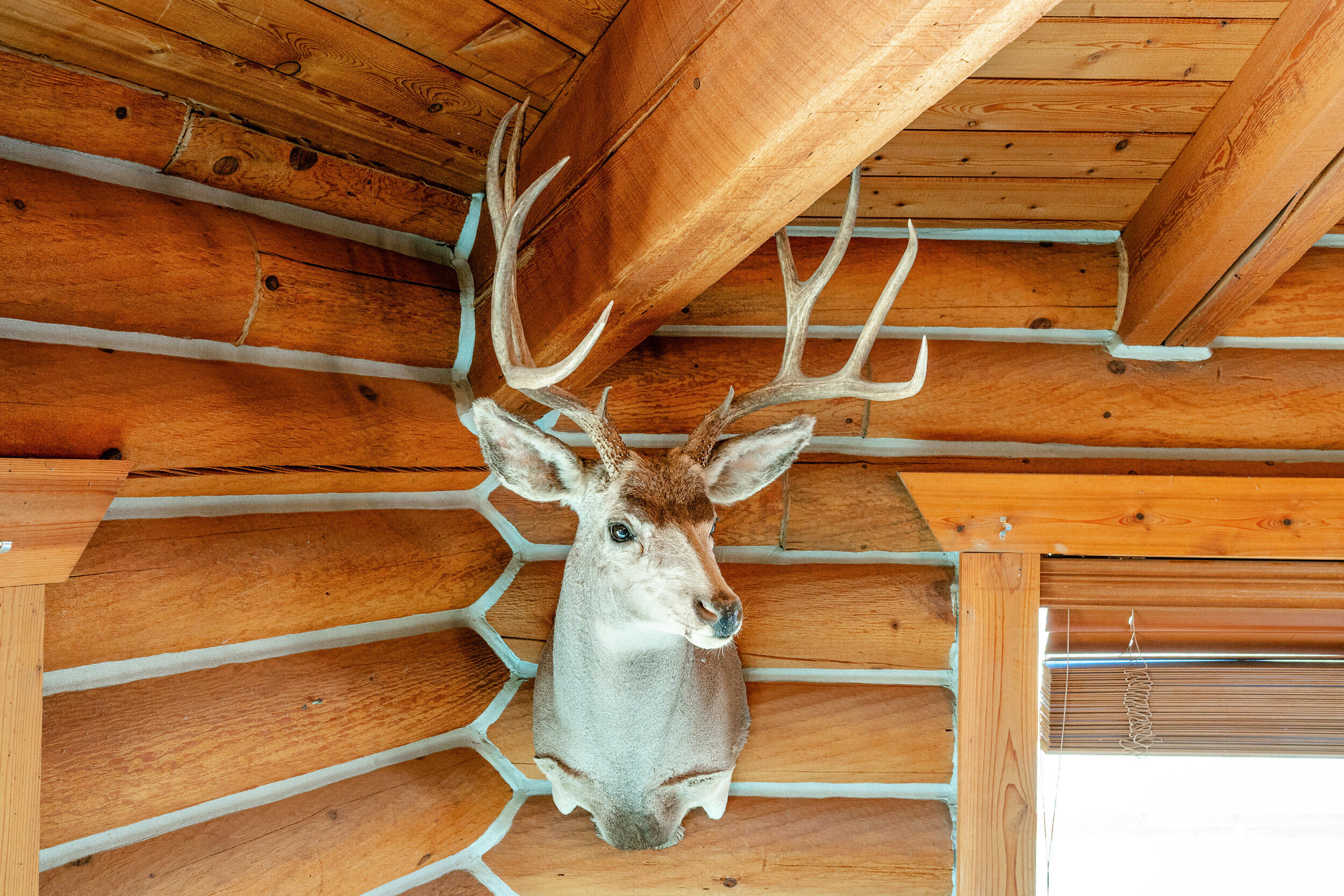 593 Lower Prairie Dog Road Sheridan, WY 82801 - Photo 111 of 142 593 lower praire dog 52