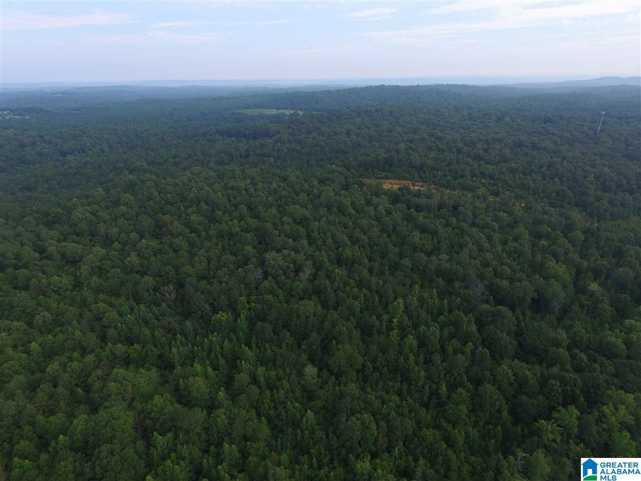 0 Morris Farms Drive Riverside, AL 35135 - Photo 9 of 18