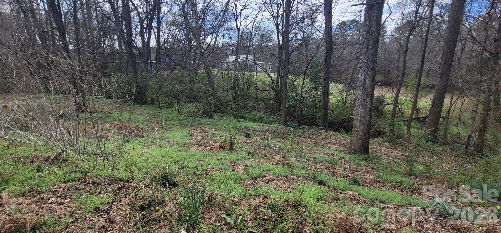 1939 River Road Lincolnton, NC 28092 - Photo 19 of 23 a view of a forest that has large trees
