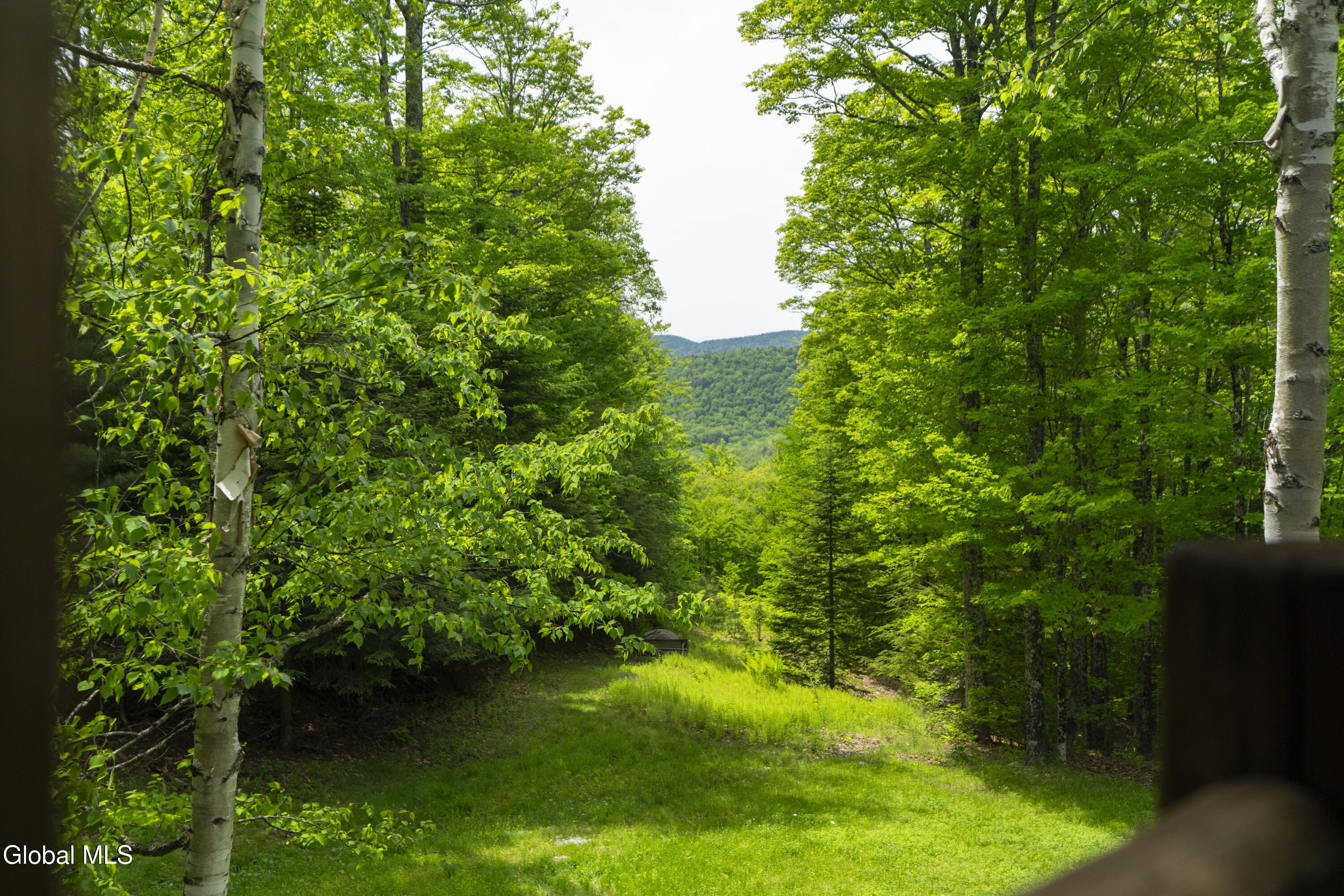54 4-H Road Johnsburg, NY 12856 - Photo 67 of 89 54 4-H-43