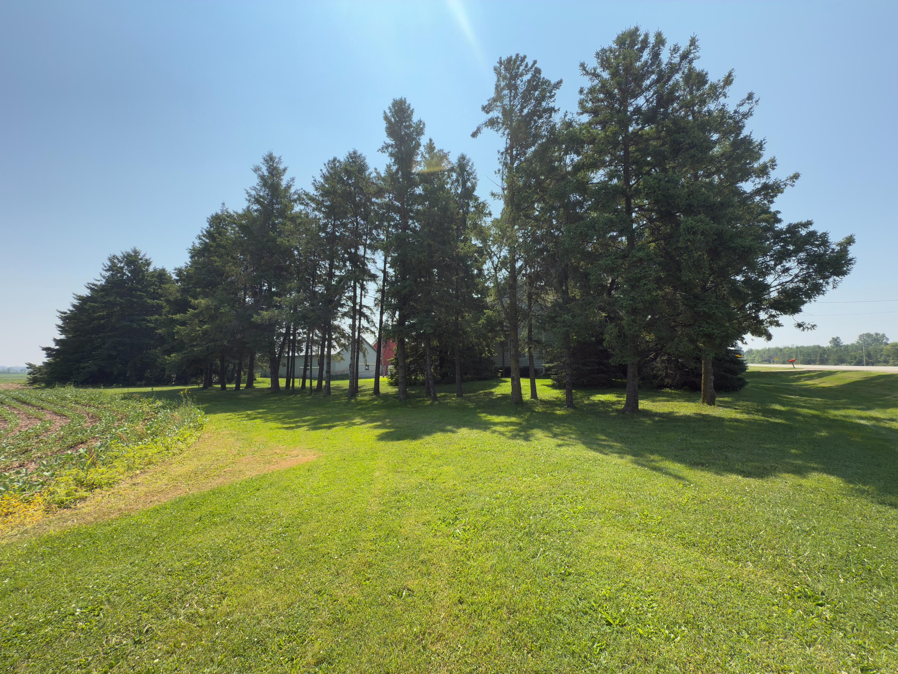 9258 Highway 76 Clayton, WI 54956 - Photo 75 of 83 Lawn North