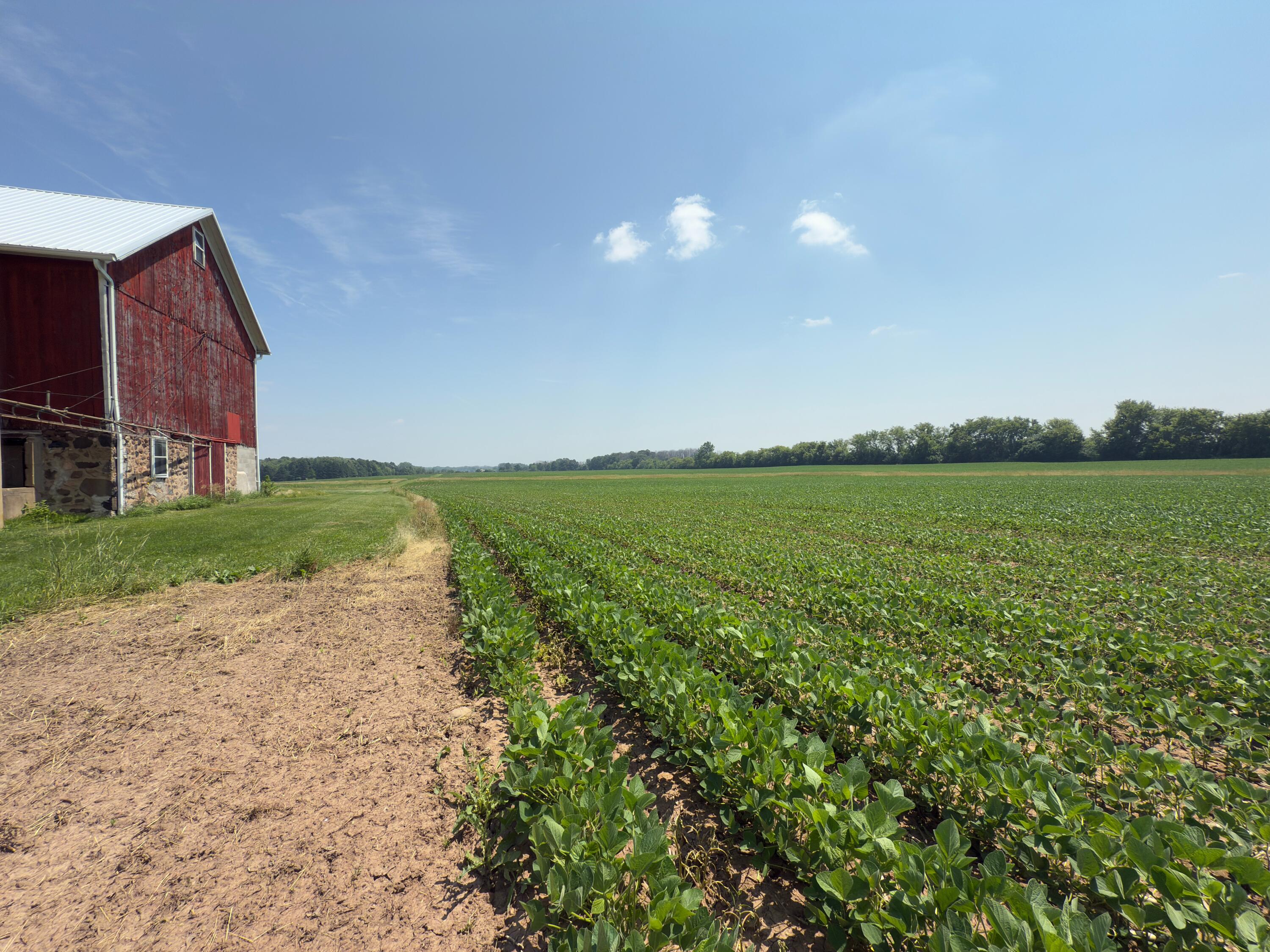 9258 Highway 76 Clayton, WI 54956 - Photo 76 of 83 Field South