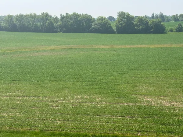 $1,750,000 | 9258 Highway 76, Clayton, WI 54956