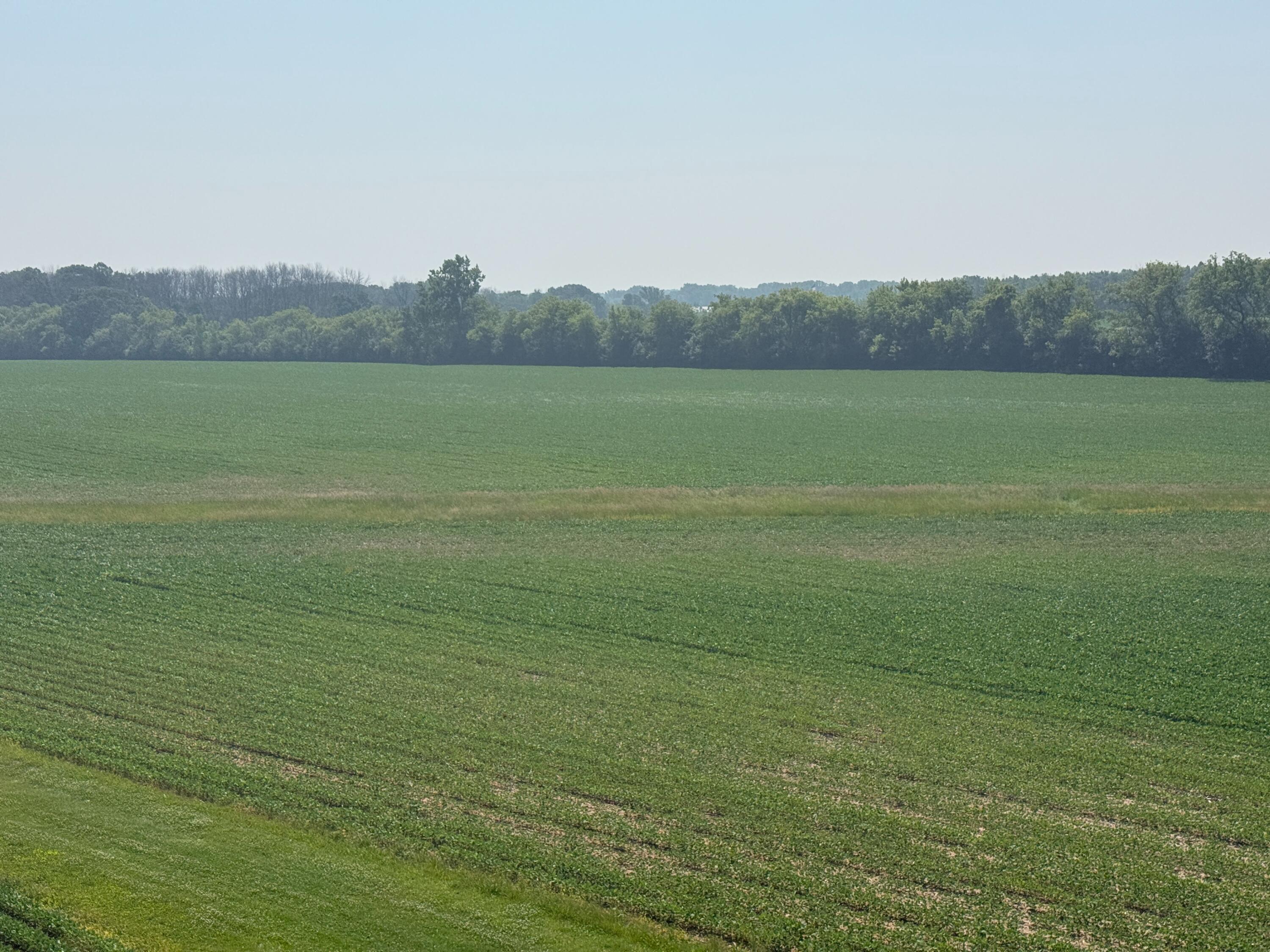 9258 Highway 76 Clayton, WI 54956 - Photo 81 of 83 Field, South