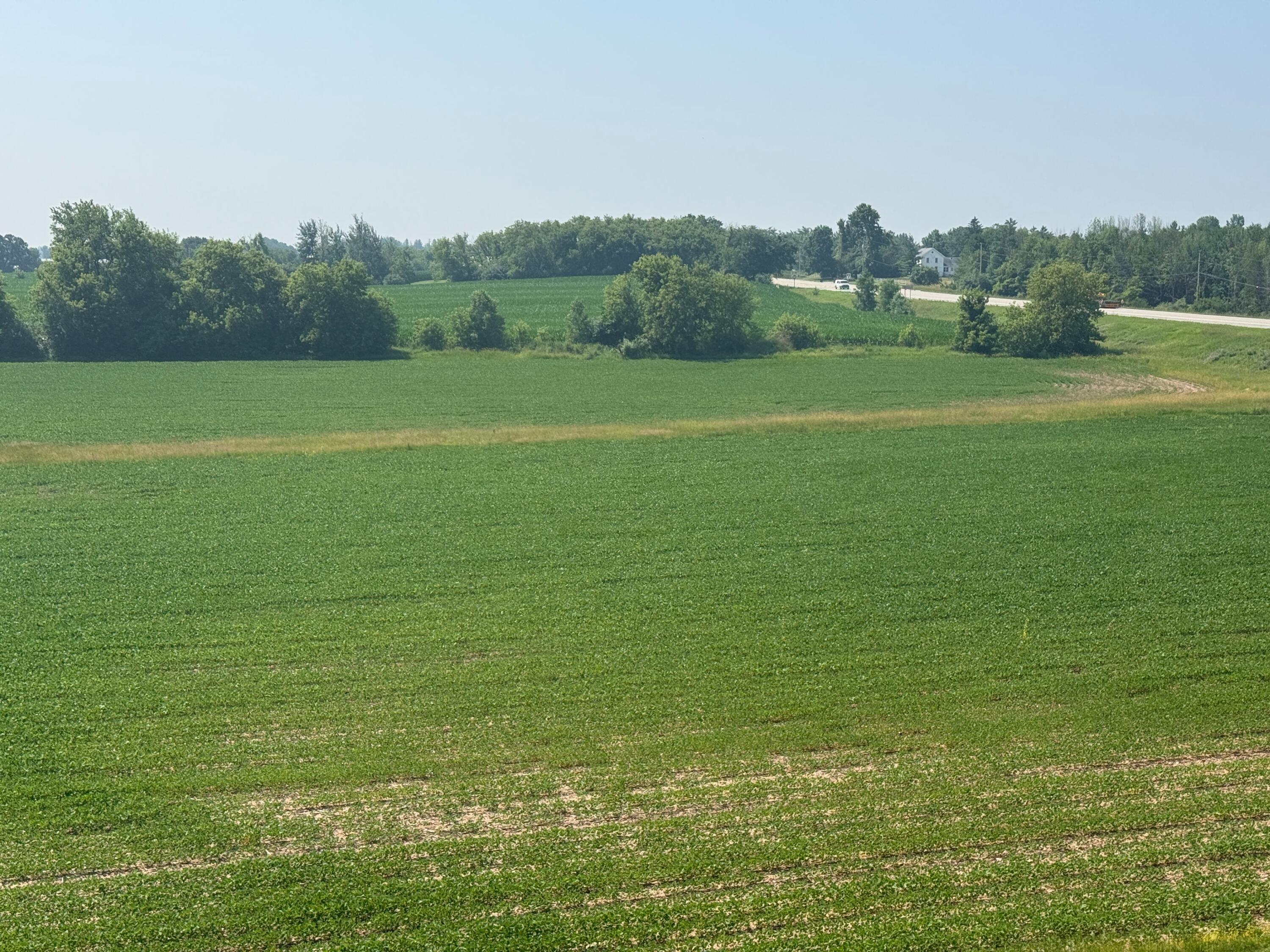 9258 Highway 76 Clayton, WI 54956 - Photo 82 of 83 Field, SW